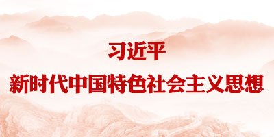 阳光服务